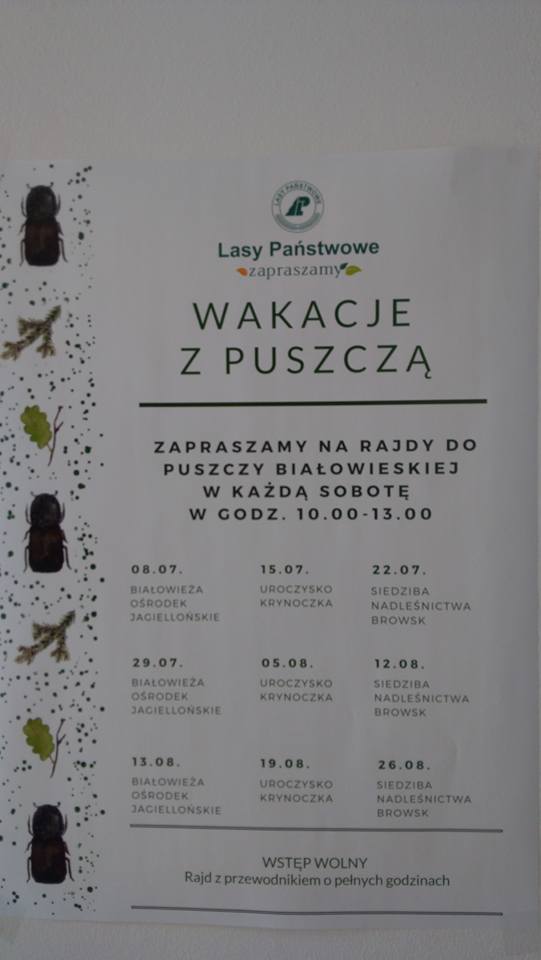 BIAŁOWIEŻA - POLSKA 12