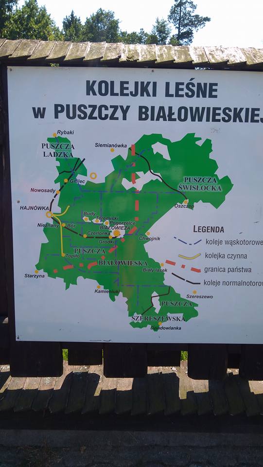 HAJNÓWKA - POLSKA 9