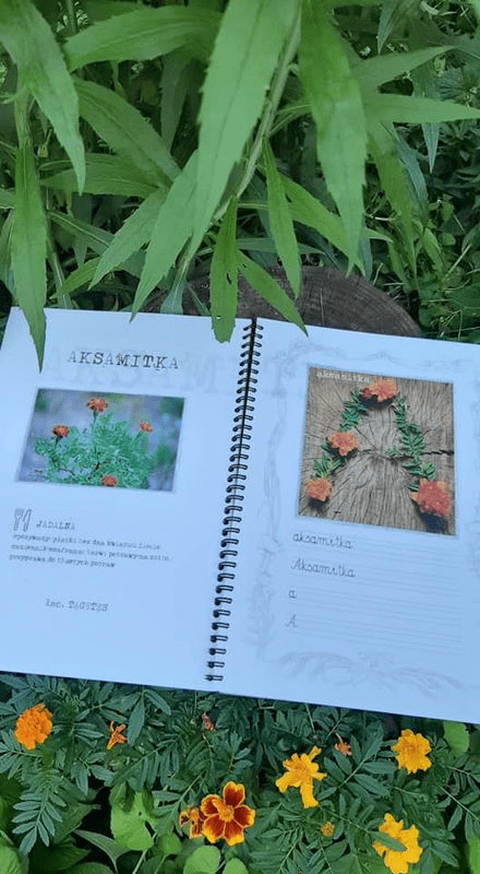 książka z roślinami, kwiatkami