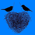 Logo Fundacja Bezpieczne Gniazdo - Safe Nest